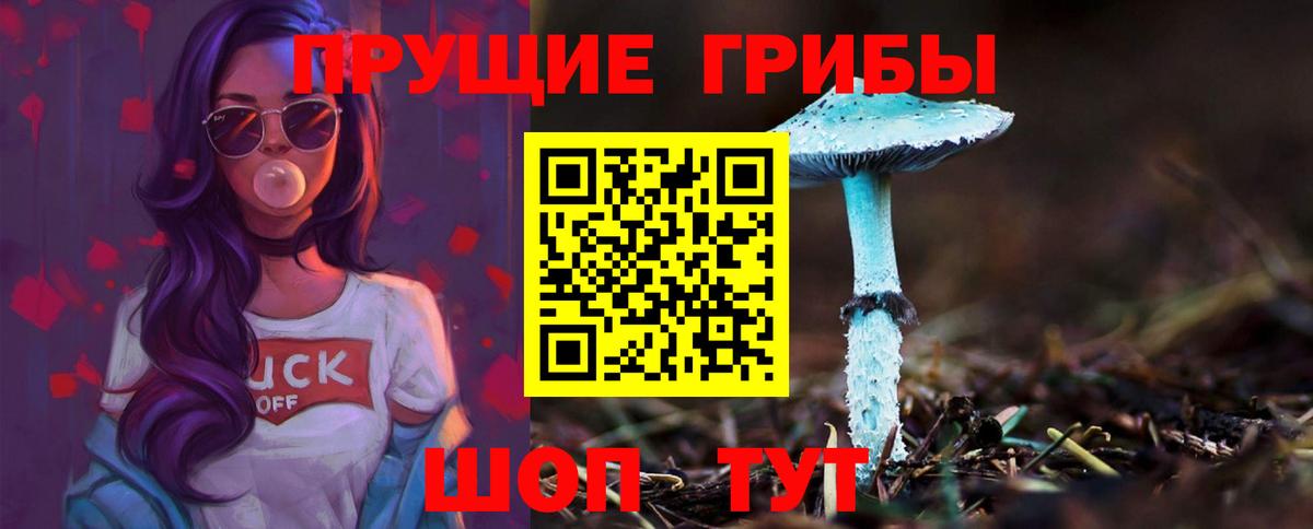 Галлюциногенные грибы прущие грибы  Вход с VPN  Псилоцибиновые грибы ЛСД  Сегежа 